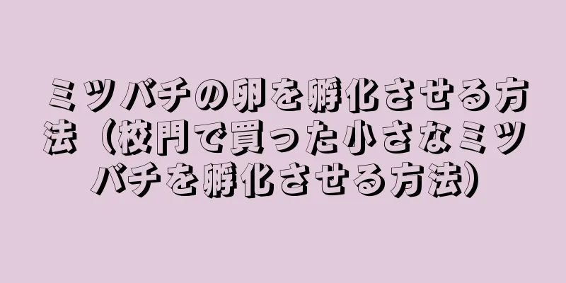 ミツバチの卵を孵化させる方法（校門で買った小さなミツバチを孵化させる方法）