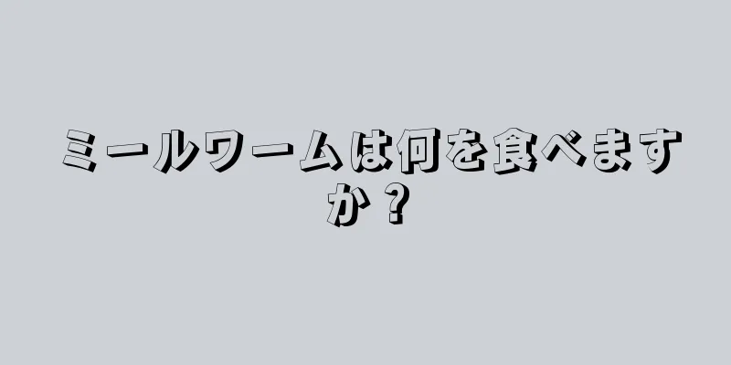 ミールワームは何を食べますか？