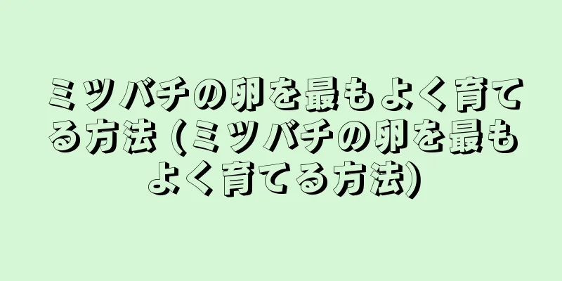 ミツバチの卵を最もよく育てる方法 (ミツバチの卵を最もよく育てる方法)