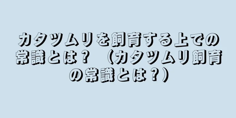 カタツムリを飼育する上での常識とは？ （カタツムリ飼育の常識とは？）