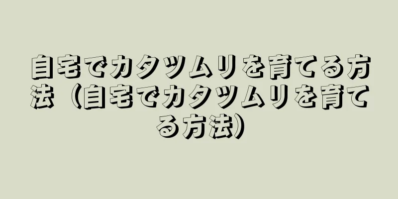 自宅でカタツムリを育てる方法（自宅でカタツムリを育てる方法）