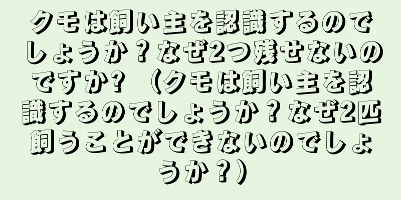 クモは飼い主を認識するのでしょうか？なぜ2つ残せないのですか? （クモは飼い主を認識するのでしょうか？なぜ2匹飼うことができないのでしょうか？）