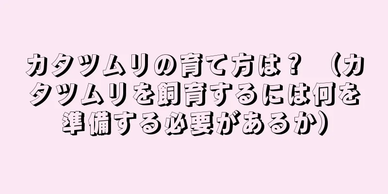 カタツムリの育て方は？ （カタツムリを飼育するには何を準備する必要があるか）
