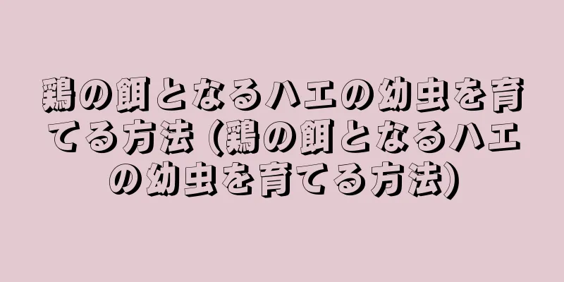 鶏の餌となるハエの幼虫を育てる方法 (鶏の餌となるハエの幼虫を育てる方法)