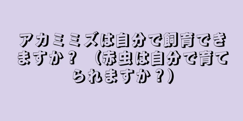 アカミミズは自分で飼育できますか？ （赤虫は自分で育てられますか？）