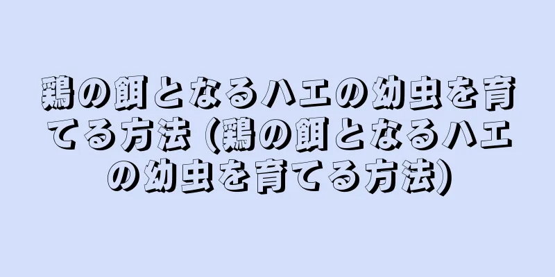 鶏の餌となるハエの幼虫を育てる方法 (鶏の餌となるハエの幼虫を育てる方法)
