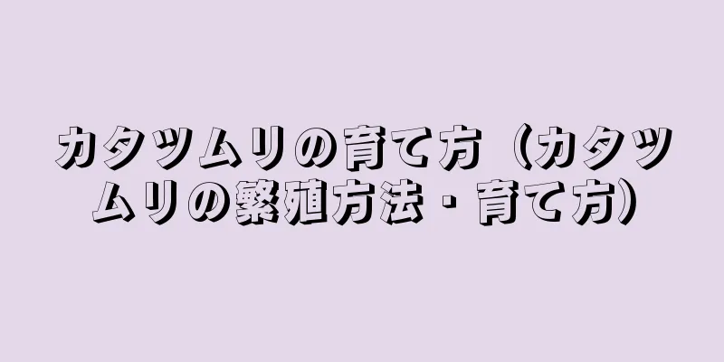 カタツムリの育て方（カタツムリの繁殖方法・育て方）