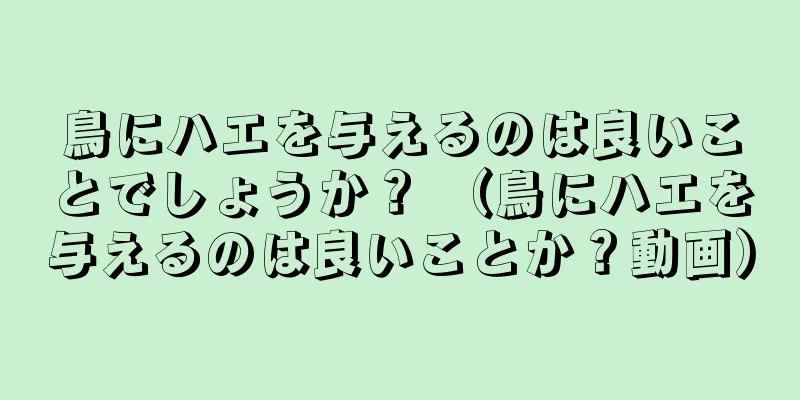 鳥にハエを与えるのは良いことでしょうか？ （鳥にハエを与えるのは良いことか？動画）