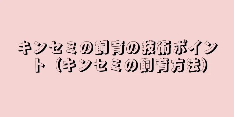 キンセミの飼育の技術ポイント（キンセミの飼育方法）