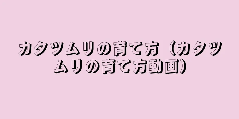 カタツムリの育て方（カタツムリの育て方動画）
