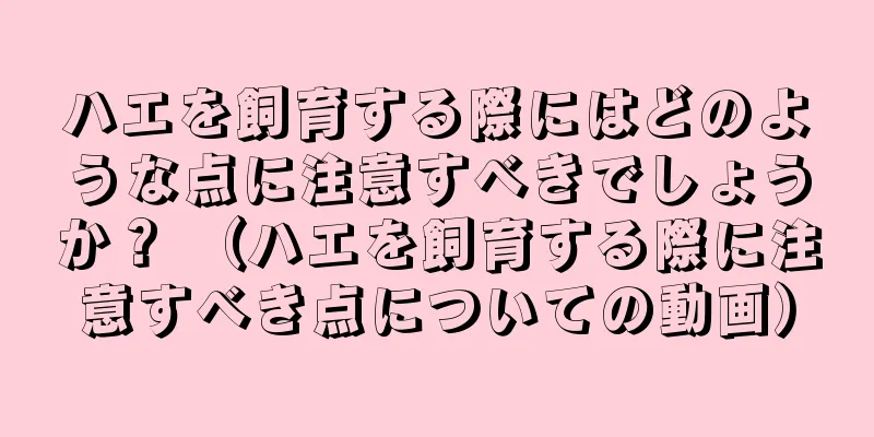 ハエを飼育する際にはどのような点に注意すべきでしょうか？ （ハエを飼育する際に注意すべき点についての動画）