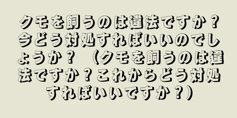 クモを飼うのは違法ですか？今どう対処すればいいのでしょうか？ （クモを飼うのは違法ですか？これからどう対処すればいいですか？）