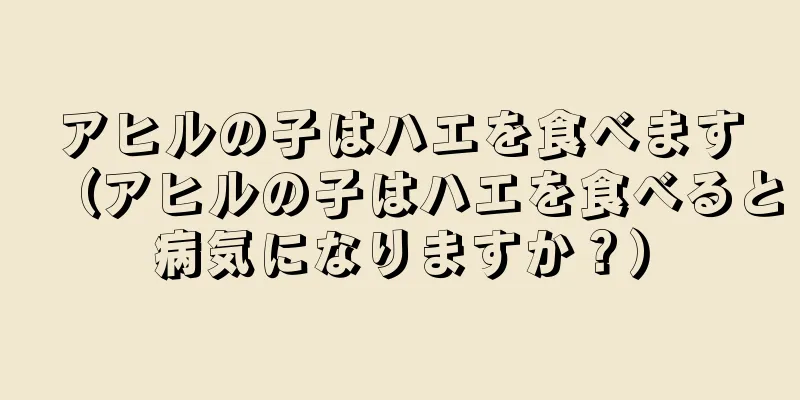 アヒルの子はハエを食べます（アヒルの子はハエを食べると病気になりますか？）