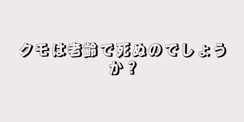 クモは老齢で死ぬのでしょうか？