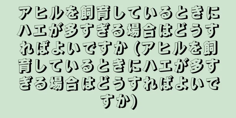 アヒルを飼育しているときにハエが多すぎる場合はどうすればよいですか (アヒルを飼育しているときにハエが多すぎる場合はどうすればよいですか)