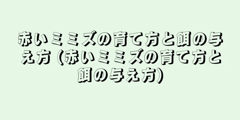 赤いミミズの育て方と餌の与え方 (赤いミミズの育て方と餌の与え方)