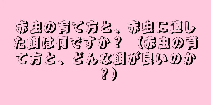 赤虫の育て方と、赤虫に適した餌は何ですか？ （赤虫の育て方と、どんな餌が良いのか？）