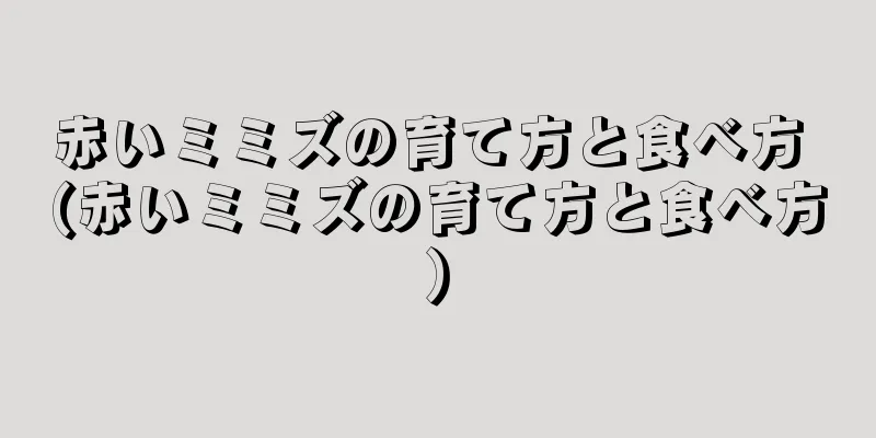 赤いミミズの育て方と食べ方 (赤いミミズの育て方と食べ方)