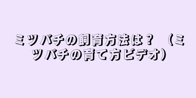 ミツバチの飼育方法は？ （ミツバチの育て方ビデオ）