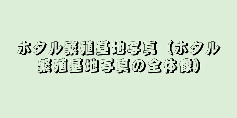 ホタル繁殖基地写真（ホタル繁殖基地写真の全体像）