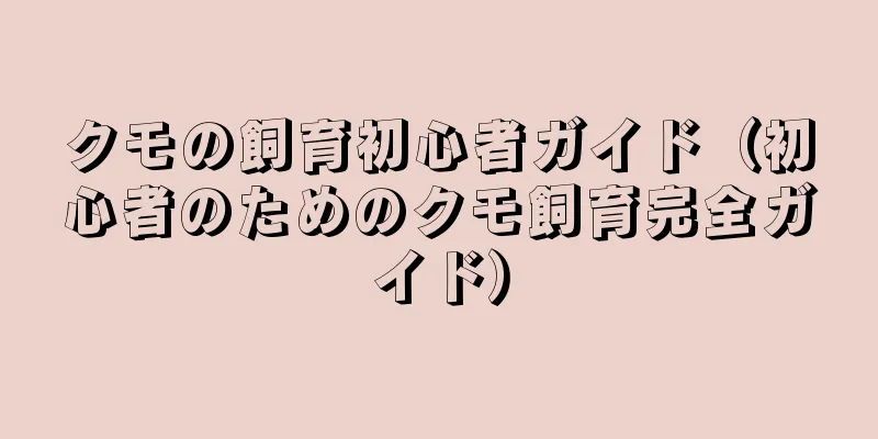 クモの飼育初心者ガイド（初心者のためのクモ飼育完全ガイド）