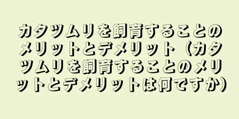 カタツムリを飼育することのメリットとデメリット（カタツムリを飼育することのメリットとデメリットは何ですか）