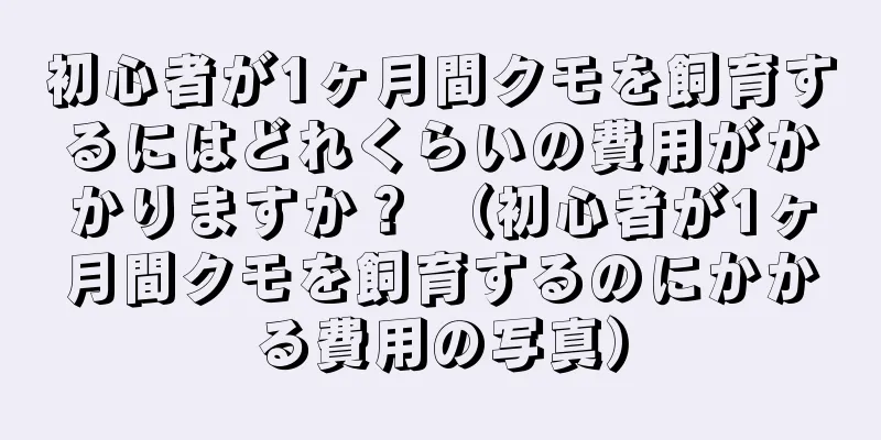 初心者が1ヶ月間クモを飼育するにはどれくらいの費用がかかりますか？ （初心者が1ヶ月間クモを飼育するのにかかる費用の写真）