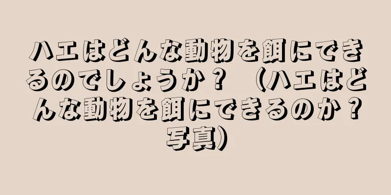 ハエはどんな動物を餌にできるのでしょうか？ （ハエはどんな動物を餌にできるのか？写真）
