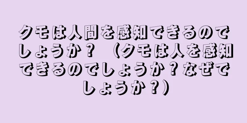 クモは人間を感知できるのでしょうか？ （クモは人を感知できるのでしょうか？なぜでしょうか？）