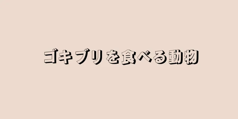 ゴキブリを食べる動物