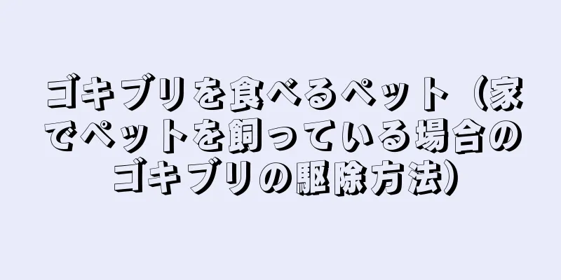 ゴキブリを食べるペット（家でペットを飼っている場合のゴキブリの駆除方法）
