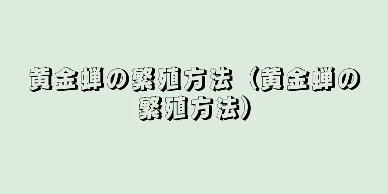 黄金蝉の繁殖方法（黄金蝉の繁殖方法）