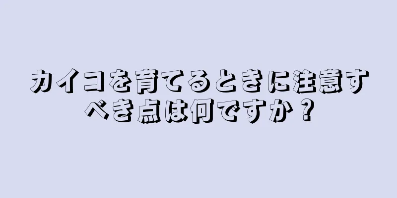 カイコを育てるときに注意すべき点は何ですか？