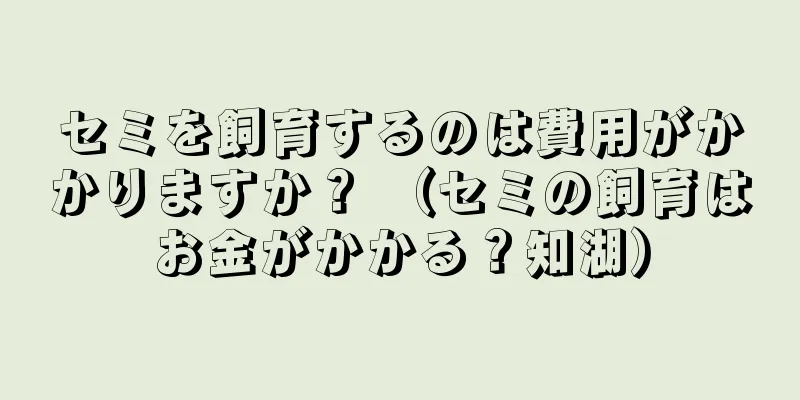セミを飼育するのは費用がかかりますか？ （セミの飼育はお金がかかる？知湖）