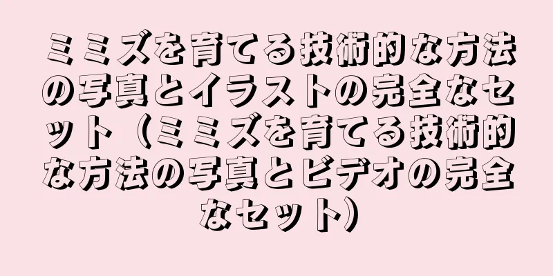 ミミズを育てる技術的な方法の写真とイラストの完全なセット（ミミズを育てる技術的な方法の写真とビデオの完全なセット）