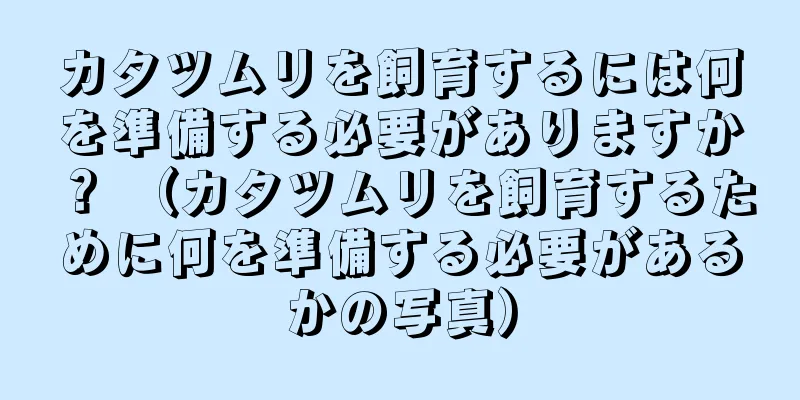 カタツムリを飼育するには何を準備する必要がありますか？ （カタツムリを飼育するために何を準備する必要があるかの写真）