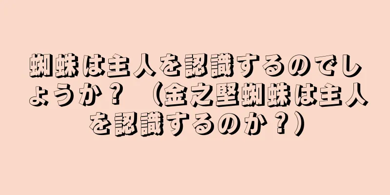 蜘蛛は主人を認識するのでしょうか？ （金之堅蜘蛛は主人を認識するのか？）