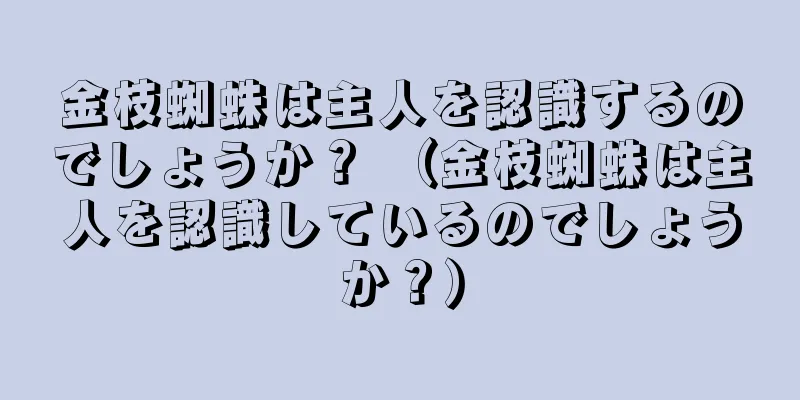金枝蜘蛛は主人を認識するのでしょうか？ （金枝蜘蛛は主人を認識しているのでしょうか？）
