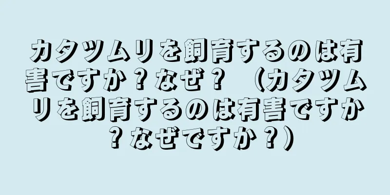 カタツムリを飼育するのは有害ですか？なぜ？ （カタツムリを飼育するのは有害ですか？なぜですか？）