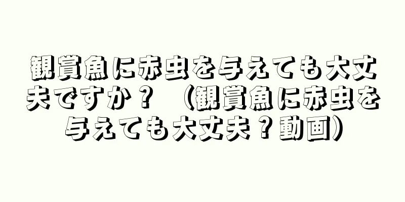 観賞魚に赤虫を与えても大丈夫ですか？ （観賞魚に赤虫を与えても大丈夫？動画）