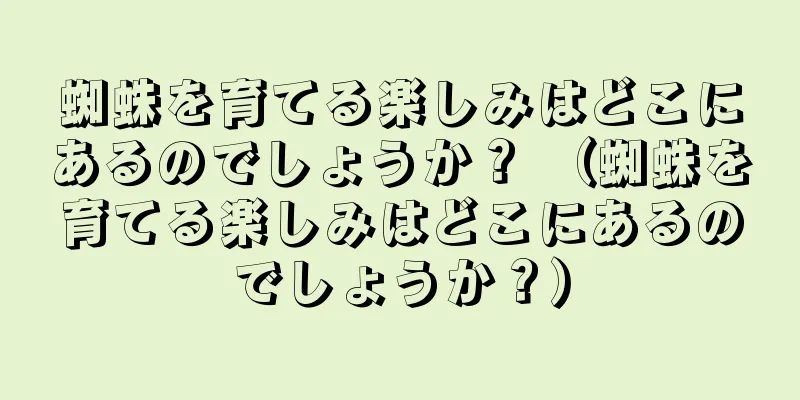 蜘蛛を育てる楽しみはどこにあるのでしょうか？ （蜘蛛を育てる楽しみはどこにあるのでしょうか？）