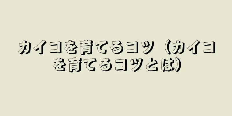 カイコを育てるコツ（カイコを育てるコツとは）