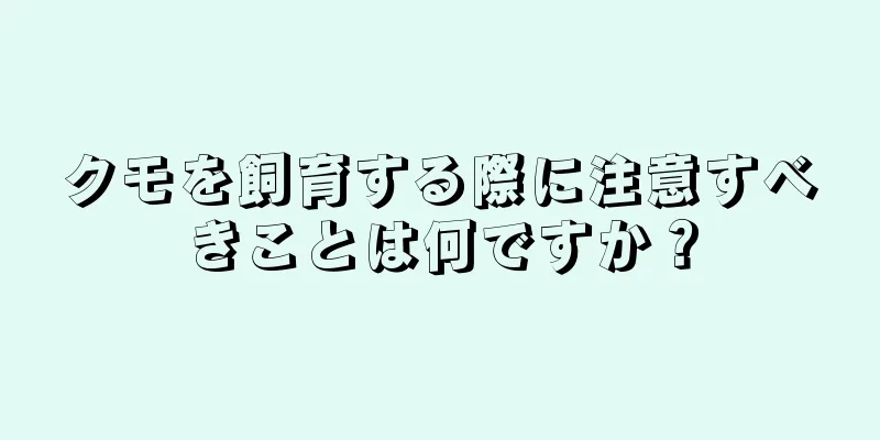 クモを飼育する際に注意すべきことは何ですか？