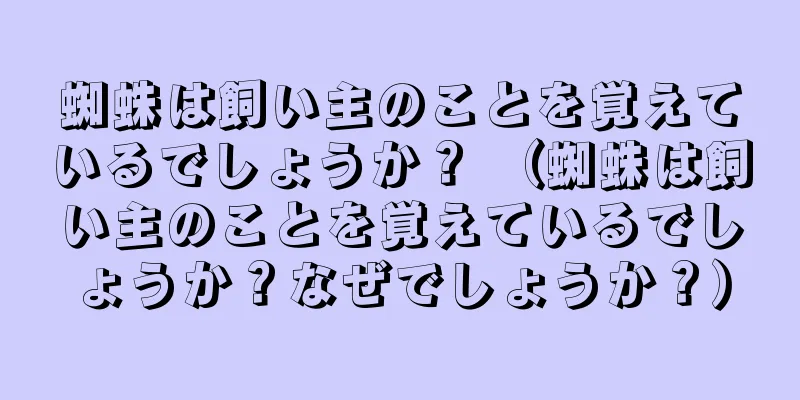 蜘蛛は飼い主のことを覚えているでしょうか？ （蜘蛛は飼い主のことを覚えているでしょうか？なぜでしょうか？）