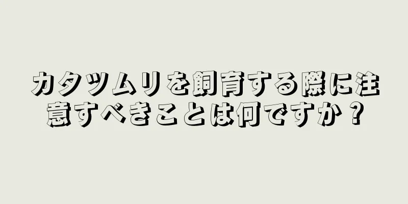 カタツムリを飼育する際に注意すべきことは何ですか？