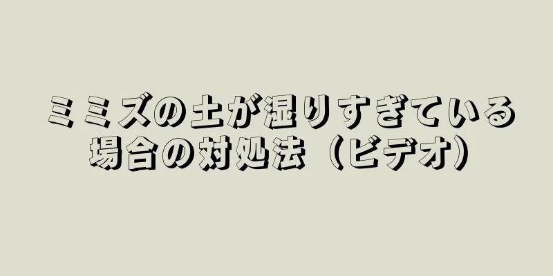 ミミズの土が湿りすぎている場合の対処法（ビデオ）