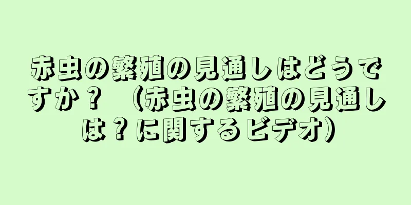 赤虫の繁殖の見通しはどうですか？ （赤虫の繁殖の見通しは？に関するビデオ）