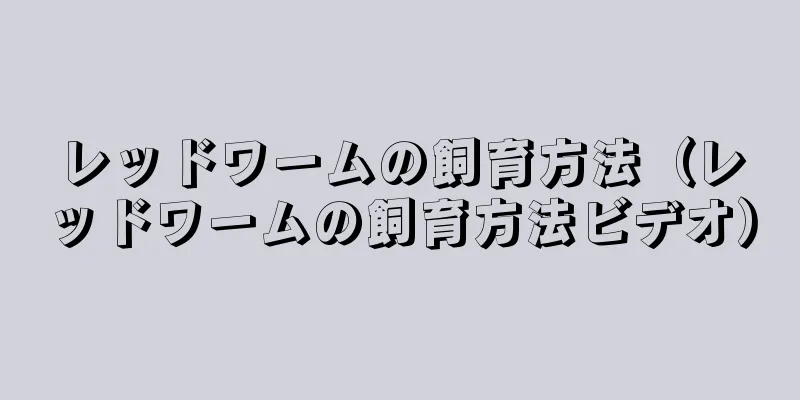 レッドワームの飼育方法（レッドワームの飼育方法ビデオ）