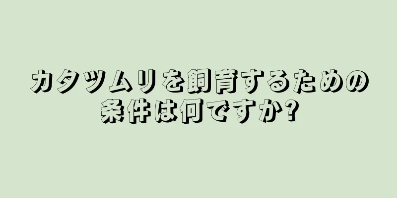 カタツムリを飼育するための条件は何ですか?