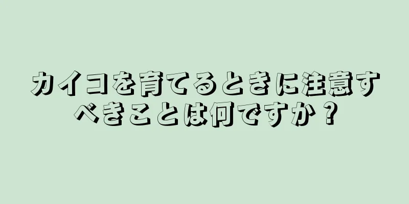カイコを育てるときに注意すべきことは何ですか？